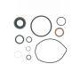 Edelmann 8801 PUMP SEAL KIT