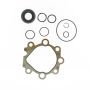 Edelmann 8803 PUMP SEAL KIT