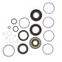 Edelmann 8806 RACK PINION SEAL KIT