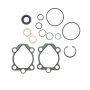 Edelmann 8821 PUMP SEAL KIT