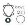 Edelmann 8824 PUMP SEAL KIT