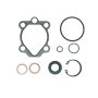 Edelmann 8831 PUMP SEAL KIT