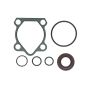 Edelmann 8843 PUMP SEAL KIT
