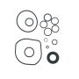 Edelmann 8961 PUMP SEAL KIT