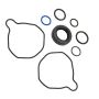 Edelmann 9061 PUMP SEAL KIT