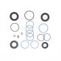 Edelmann 9096 RACK PINION SEAL KIT
