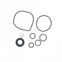 Edelmann 9147 PUMP SEAL KIT