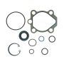 Edelmann 9154 PUMP SEAL KIT
