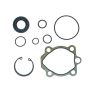 Edelmann 9158 PUMP SEAL KIT