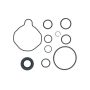 Edelmann 9210 PUMP SEAL KIT