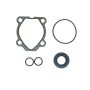 Edelmann 9237 PUMP SEAL KIT