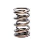 1.550 OD Valve Spring Solid Roller Cam