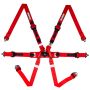 Racequip 857017 Red FIA 6pt Pull Up Lap FHR Formula Sub