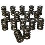 Howards Racing Components 98541 (Vss) Valve Springs