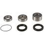 Pivot Works PWRWS-H14-000 00-01 Honda CBR929RR PW Rear Wheel Bearing Kit