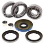 All Balls Racing 25-2096 2015 Polaris Forest 800 6x6 Differential Bearing & Seal Kit Rear