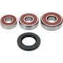 Pivot Works 25-1247-P Yamaha Wheel Bearing Kit Premium Bearings