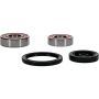 Pivot Works 25-1596-P Honda Wheel Bearing Kit Premium Bearings