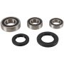Pivot Works PWRWS-S42-000 11-22 Suzuki GSX-R600 PW Rear Wheel Bearing Kit