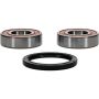 Pivot Works 25-1417-P Gas-Gas, Husqvarna Wheel Bearing Kit Premium Bearings