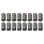 PAC RACING SPRINGS PACPAC-1223-16 1.105 Valve Springs - Ovate Beehive (16)