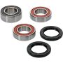 Pivot Works 25-1420-P Wheel Bearing Kit