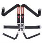 Racequip 712002 Black L & L 6pt Seat Belt