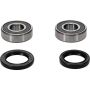 Pivot Works 25-1254-P Kawasaki Wheel Bearing Kit Premium Bearings