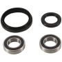 Pivot Works PWFWK-K27-000 Wheel Bearing Kit