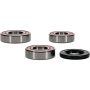 Pivot Works 25-1706-P Gas-Gas, Husqvarna, KTM Wheel Bearing Kit Premium Bearings
