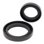 All Balls Racing 24-2038 85-92 Suzuki LT-250R Crank Shaft Seal Only Kit