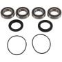 Pivot Works PWRWK-S20-500 08-09 Suzuki LT-A400 2WD King Quad PW Rear Wheel Bearing Kit