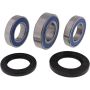 All Balls Racing 25-1039 Wheel Bearing Kits