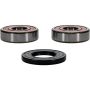 Pivot Works 25-1353-P Kawasaki, Suzuki Wheel Bearing Kit Premium Bearings