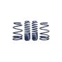 FORD FRDM5300-L 07-14 SVT Must Lowering Spring Kit