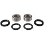 Pivot Works PWFWK-A01-542 99-05 Arctic Cat 250 2x4 PW Front Wheel Bearing Kit