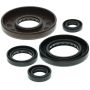 Vertex Pistons 822208 Vertex Gaskets 95-03 Honda TRX400FW Fourtrax Foreman 4x4 Oil Seal Kit