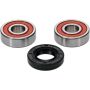 Pivot Works 25-1439-P Honda, Kawasaki, Suzuki Wheel Bearing Kit Premium Bearings