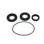 All Balls Racing 25-2058-5 2002 Polaris Magnum 325 4x4 HDS Differential Seal Only Kit Front
