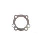Athena S410195001002 Cylinder Head Gaskets