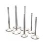 Ferrea F2057P Chevrolet Big Block 2.3 Head 11/32 Stem Dia Competition Hollow Stem Intake Valve - Set of 8