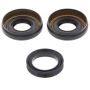 All Balls Racing 25-2060-5 04-07 Honda TRX400FA Differential Seal Only Kit Front
