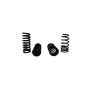 Ford Racing M-5300-C 1979-2004 Mustang Front/Rear Spring Kits