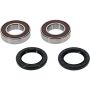 Pivot Works 25-1079-P Gas-Gas, Kawasaki, Suzuki Wheel Bearing Kit Premium Bearings