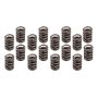 EDELBROCK EDE5821 1.540 Valve Spring Set 16