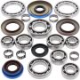 All Balls Racing 25-2084 08-09 Polaris Sportsman 500 X2 Transaxle Bearing & Seal Kit