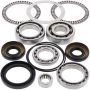 All Balls Racing 25-2094 08-13 Kawasaki Teryx 750 4x4 Differential Bearing & Seal Kit Front