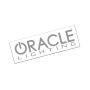 Oracle Decal 12in - Reflected Silver