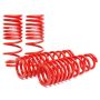 Skunk2 Racing 519-05-1480 Skunk2 92-95 Honda Civic/Del Sol Lowering Springs (2.50in - 2.25in.) (Set of 4)