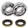 All Balls Racing 24-1102 2012 Husqvarna CR 65 Crank Shaft Bearing Kit